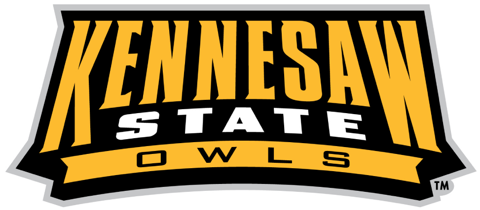 Kennesaw State Owls 2012-Pres Wordmark Logo v2 diy fabric transfer